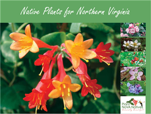 Native Plants for Northern Virginia guidebook